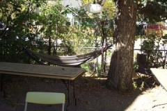 BackYardWithHammock
